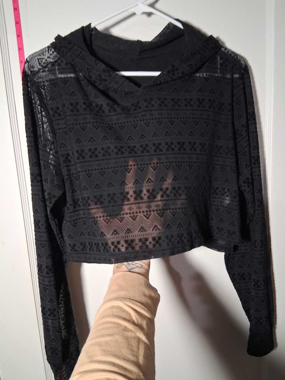 Black Sheer Cropped Long-Sleeve Top - With Hood S